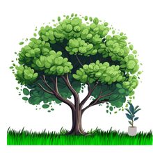 Plantes